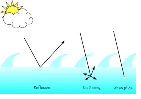 high quality define transparent sample transparent png images