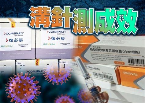 港大擬招募100人試「溝針」 先打復必泰再打科興｜即時新聞｜港澳｜oncc東網