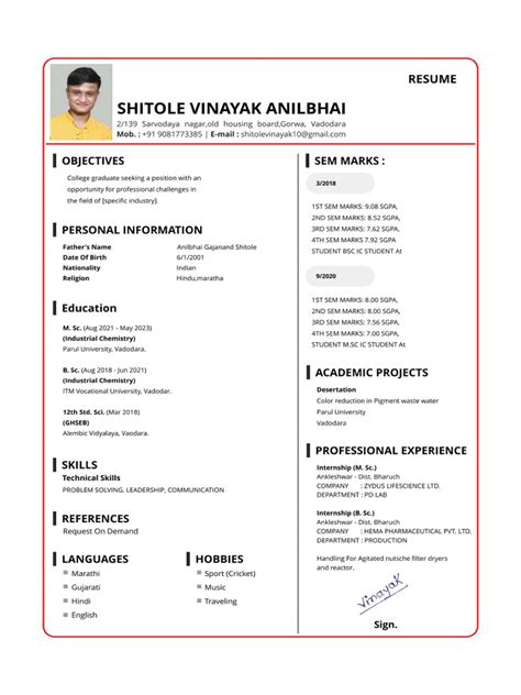 Vinayak Resume | PDF 