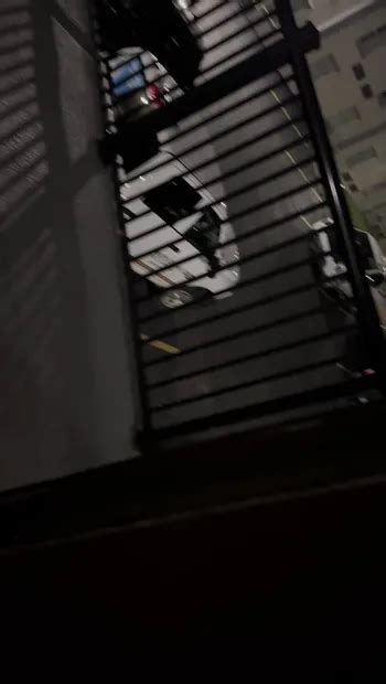 V Deos Porno Gay De Papito Xhamster