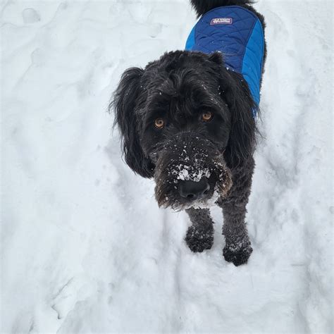 East Grand Rapids History Room - "The name "Pioneers" has been