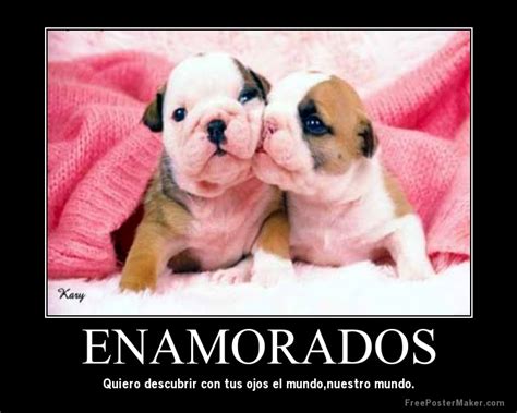 Imagenes De Amor Gay Imagenes De Amor