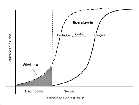 Hiperalgesia O Que É - Modelo explicativo da alodinia e hiperalgesia (Cervero e Laird, 1996 ...