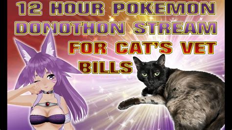 LIVE Vtuber KioGaming 12 Hour Pokemon Donothon Stream For Cat S Vet