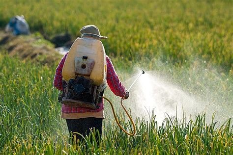 video pesticide   brazil  problems  rural internacional