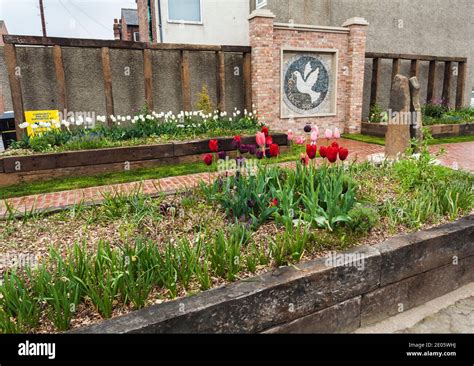 El Jard N De La Paz Memorial En Middleton Street Darlington Inglaterra