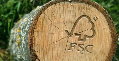 Madera Fsc Qu Es Y Qu Beneficios Ofrece Hogar Sostenible