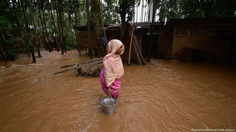 Floods Wreak Havoc In Assam Manipur Animals Of Kaziranga Also Affected