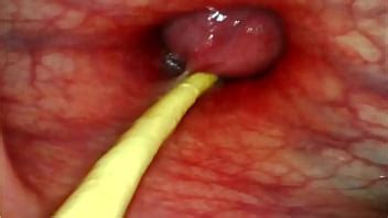 Calentona Channel Page XVIDEOS