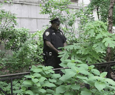 Artists Nude Models Take To The New York Streets For Bodypainting Day NSFW