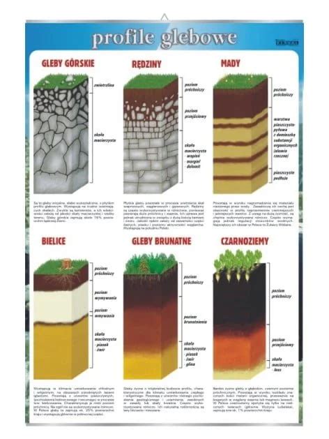 Profile Glebowe Nauka O Ziemi Plansza Plakat Plansze Dydaktyczne Dla