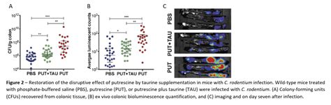 Imaging Platform For Ibd Drug Discovery