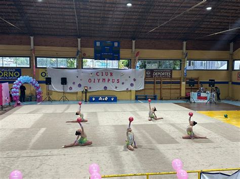 Participaci N Alumnos Gimnasia R Tmica Ballet Y Atletismo Lyc E Claude Gay Osorno Colegio