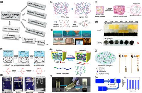 A Design Principles Of The Functional Hydrogel Electrolytes B