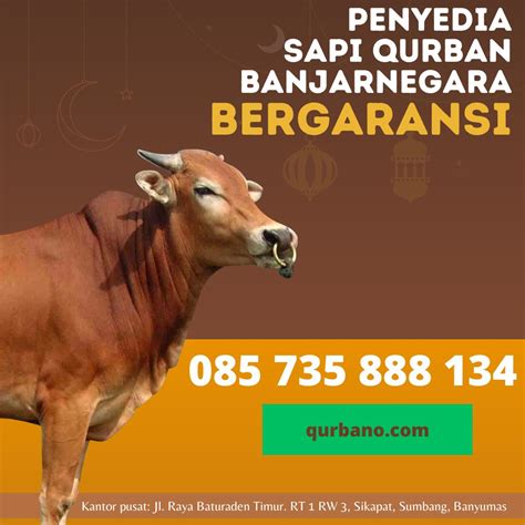 Jual Sapi Kurban Banjarnegara Bergaransi Wa