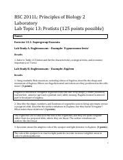 Bsc2011l Topic13 Lab Report Docx Pdf BSC 2011L Principles Of