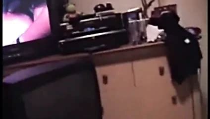 Noelia Porn Videos XHamster