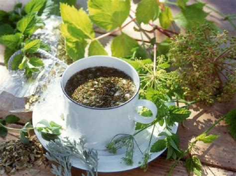 Отвар трав для укрепления сосудов! | Herbs, Herbalism, Herbal drinks