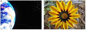 original picture   paper  scientific diagram