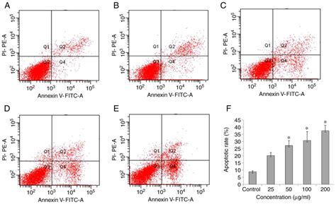 Apoptosis Assay Using Flow Cytometry After Staining With Annexin