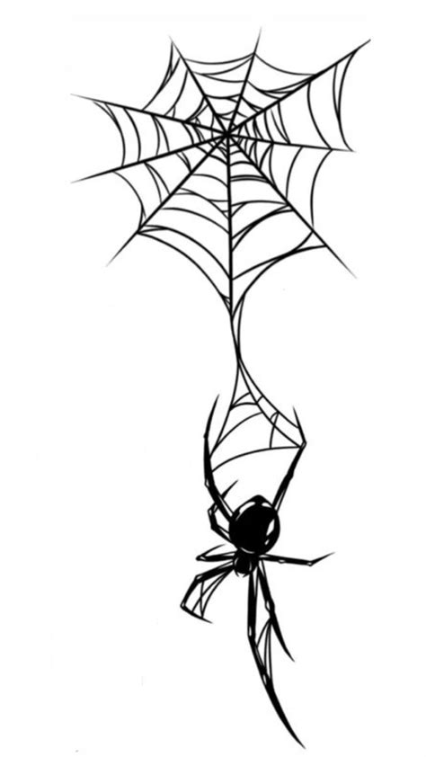 Spider web decoration pattern spider drawing web drawing spider sketch png and vector with ...