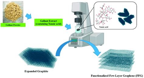 schematic diagram   preparation process  ffg