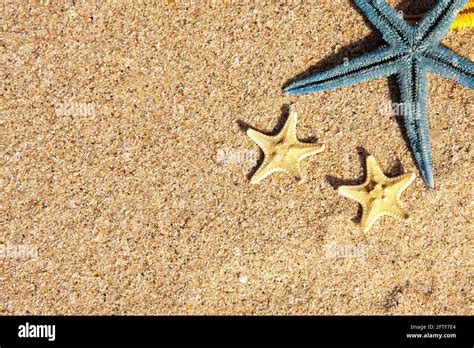 Summer Background With Starfish Stock Photo Alamy