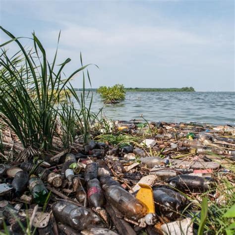 Que Te Diviertas Fatiga Afirmar Contaminacion De Las Aguas Causas Y