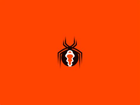 Katipo Spider - Endangered Species Project by Cajvanean Alexandru on Dribbble