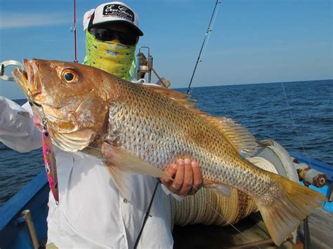 Tackle Source: JIG JIG JIG!