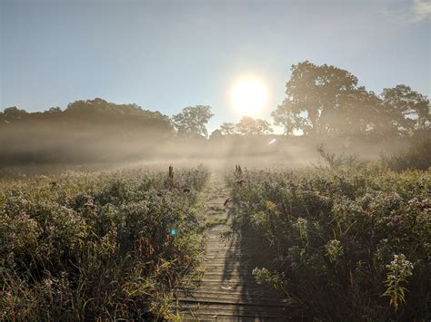 Chad's Conservation Update October 2023 - Michigan Audubon