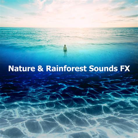 Rainforest Habitat Song And Lyrics By Nature Rainforest Sounds