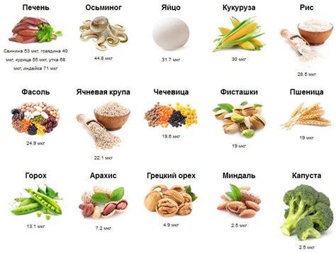 В каких продуктах содержится цинк в большом количестве: список ...