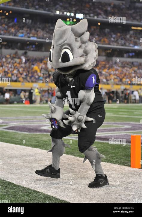 Aug 312013tcu Horned Frog Mascot In A Ncaa Football Stock