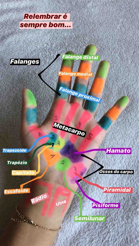 Nome Das Partes Da Mão
