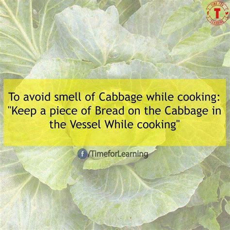 A Quote On Cabbage That Reads To Avoid Smell Of Cabbage While Cooking