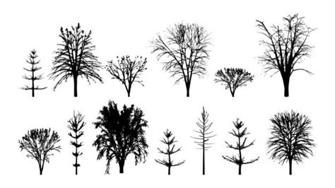 Forest Silhouette Vector Art Icons And Graphics For Free Download