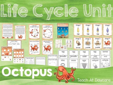 Life Cycle Of An Octopus Science Curriculum Unit Worksheets