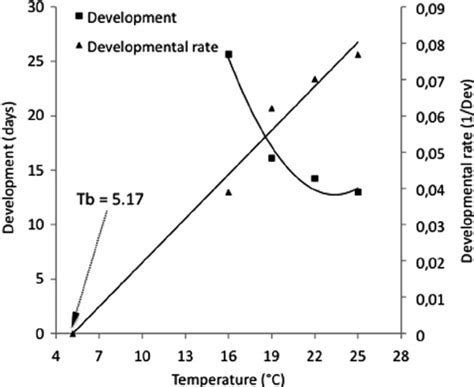 Relationship between temperature and development (squares), and ...