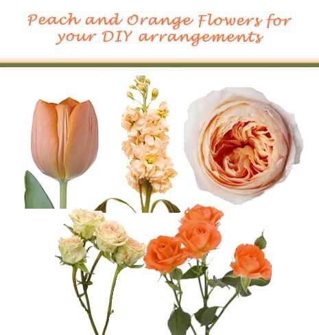 What Colors Go With Peach Flowers Infoupdate Org