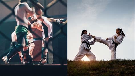 MMA vs. Karate: Which Is Better? - Sweet Science of Fighting