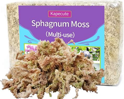 Amazon Besgrow Premium New Zealand Sphagnum Moss 100g 8L When