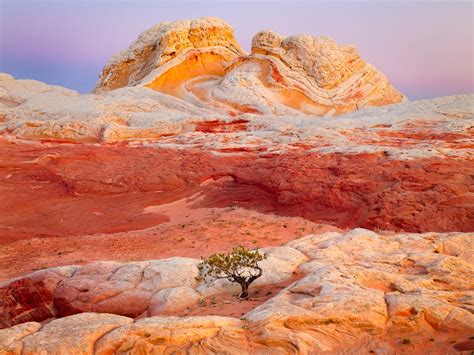 Arizona Butte