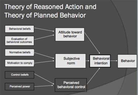 How Do Behavior Analysts Explain Individual Differences In Behavior Quizlet Callie Has Koch