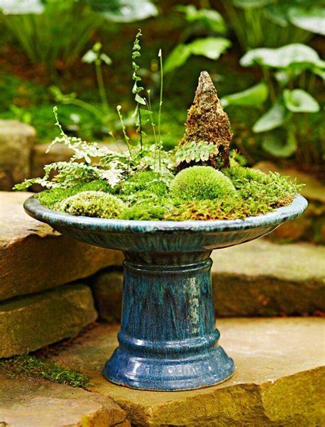 21 Indoor Moss Garden Ideas You Cannot Miss Sharonsable