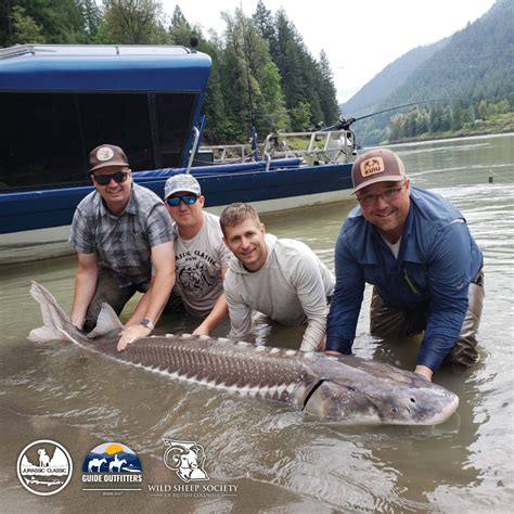 9th ANNUAL WILD SHEEP JURASSIC CLASSIC STURGEON FISHING TOURNAMENT 2
