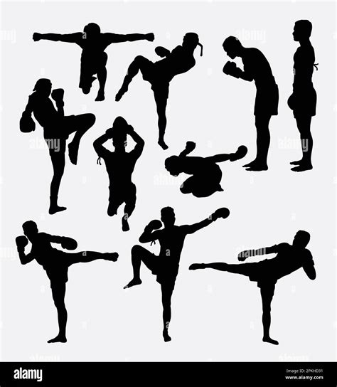Boxer Stock Vector Images Alamy
