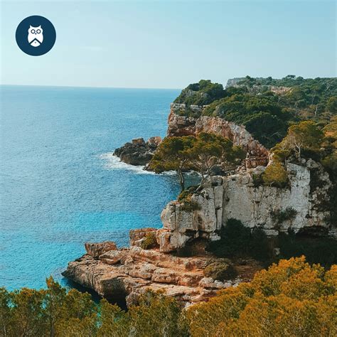Owl - Discover the breathtaking beauty of Mallorca’s cliffs, where