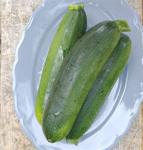 Фаршировані кабачки м'ясом та смачними овочами! - Podobaika.com