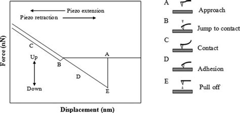 Schematic Force Displacement Curve For Various Stages Of Afm
